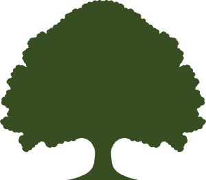greatoak-tree